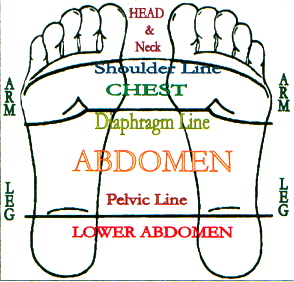 FootChart.jpg